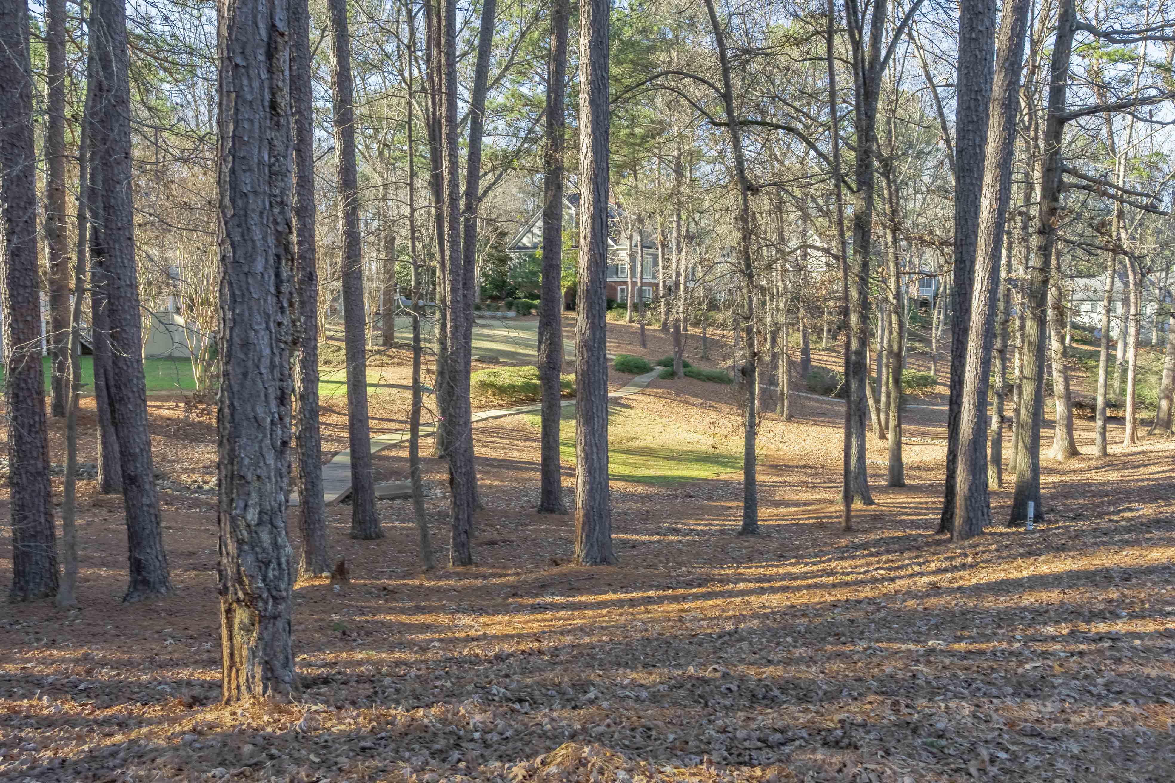 155 Barrington Hall Drive, NE image 10